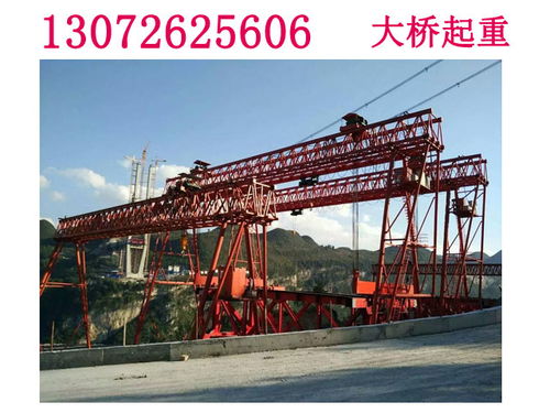 廣東龍門吊出租常速起吊高清圖片 高清大圖