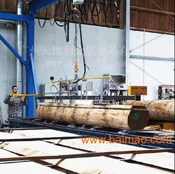 旋臂滑軌 真空搬運器 省時省力,旋臂滑軌 真空搬運器 省時省力生產廠家,旋臂滑軌 真空搬運器 省時省力價格