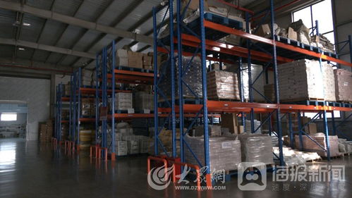 山東一貫寵物用品公司 以高質量產品沖刺 寵物經濟 賽道