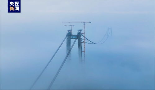 穿云破霧跨海 中聯重科塔機助建廣西海上最高的貓道