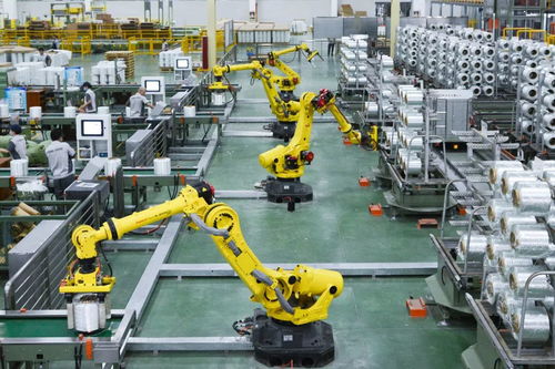 畝均論英雄 ,增聚開發區 高橋街道 高質量發展動能